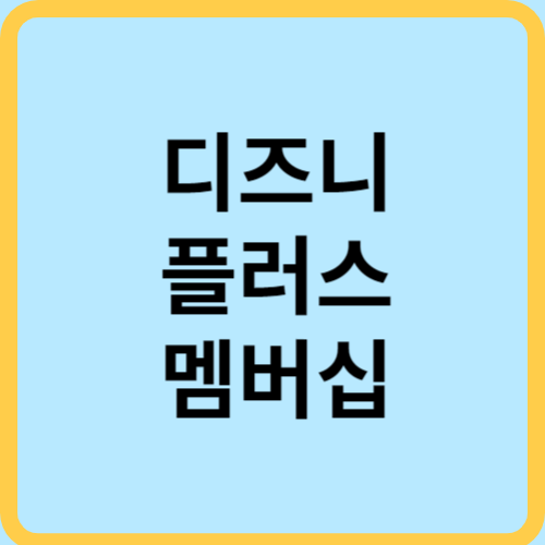 디즈니 플러스 멤버십