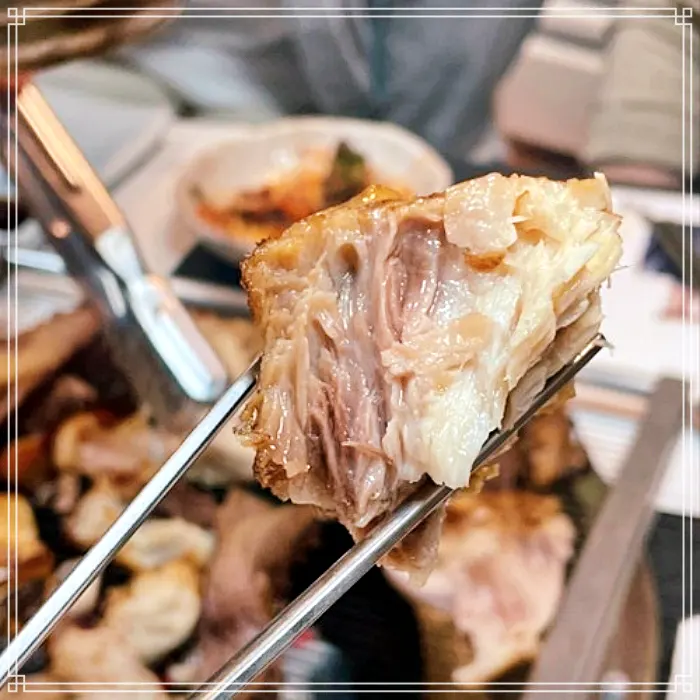 생방송 투데이 고성, 아야진, 속초 참치, 참치머리 숯불구이 맛집