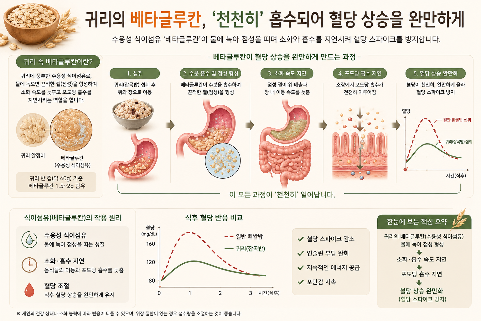 귀리의 베타글루칸, '천천히' 흡수되어 혈당 상승을 완만하게