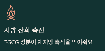  다이어트 차 3종 