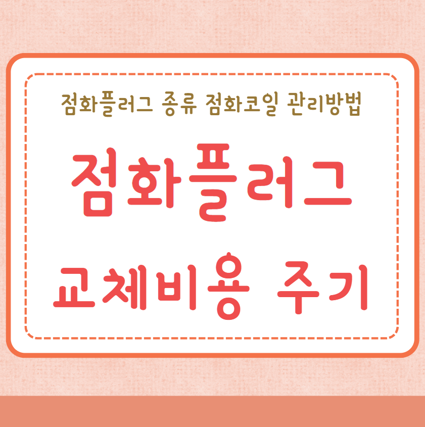 점화플러그 교체비용