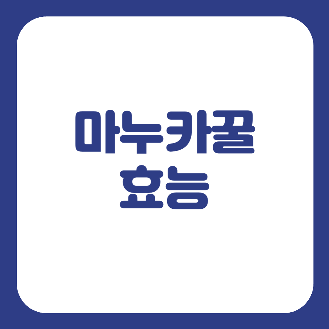 마누카꿀 효능
