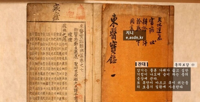 잔대 효능 5가지와 부작용 총정리