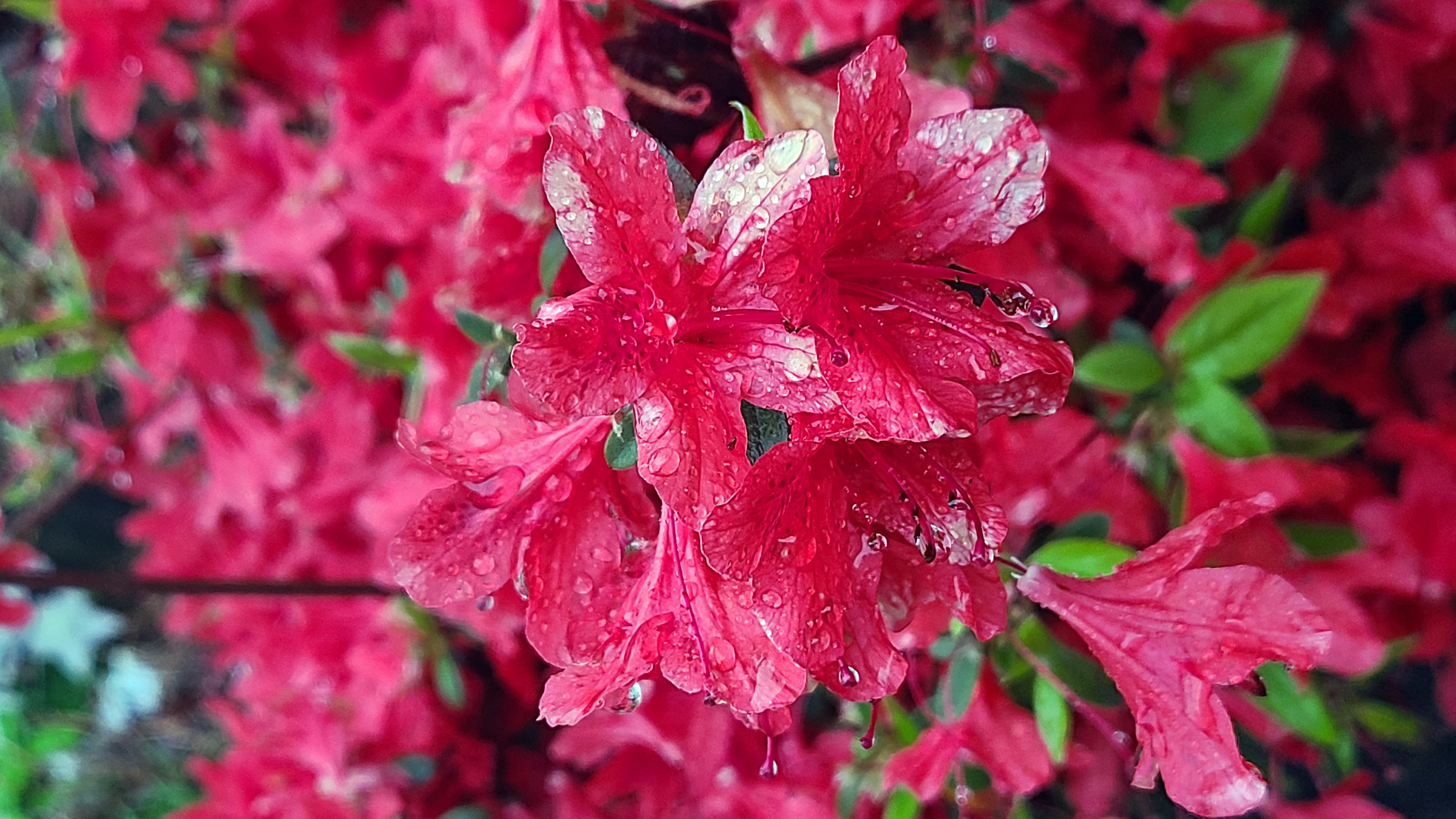 산중 숲속 오토캠핑장