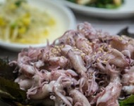 2025/2026 무주덕유산리조트 스키장 시즌권 렌탈 할인 완벽 가이드