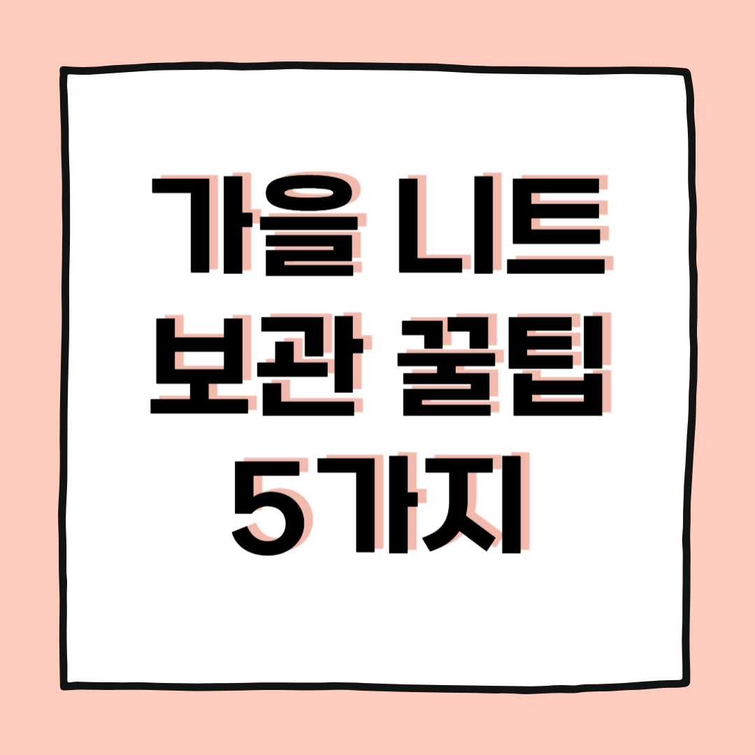 오래 입는 가을 니트 보관 꿀팁 5가지