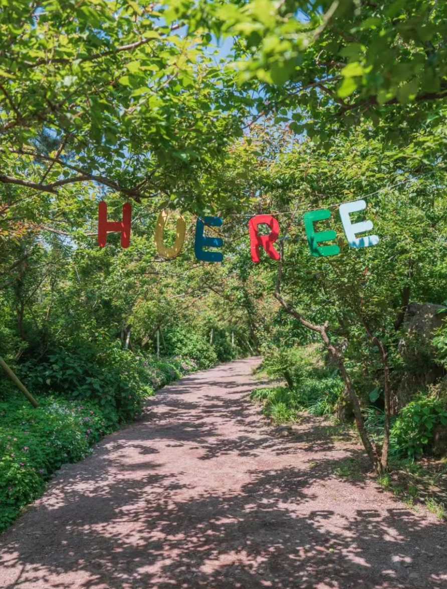휴애리 수국축제