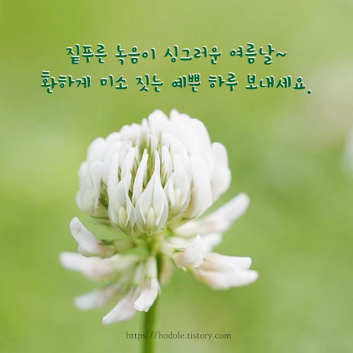 행복한 하루 인사말