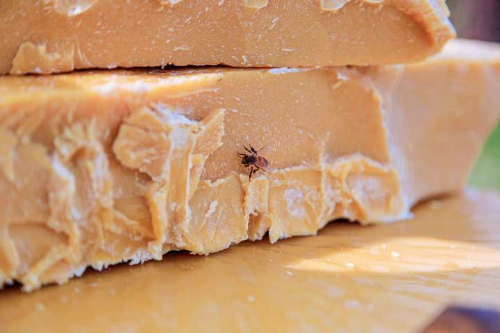 전참시 전지적참견시점 이영자 전현무 권율 파김치 보은로드 180년 돌창고 개조 천연 꿀벌 밀랍초 초멍 한 곳 제주도 애월 어디 추천 소개