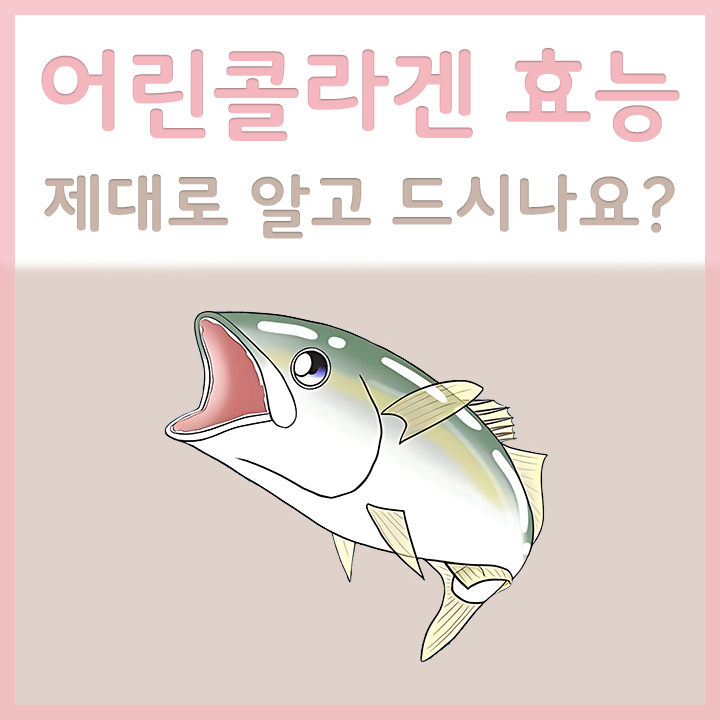 어린콜라겐의-주원료