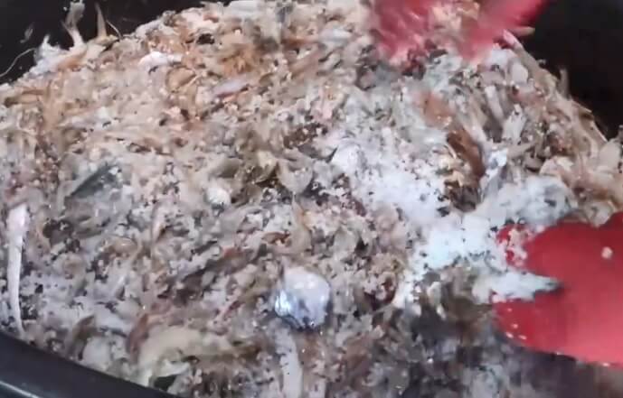 오늘N 수상한 가족 영광 설도항 새우젓 판매 신성호 주문방법