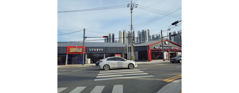 거제시 동물병원