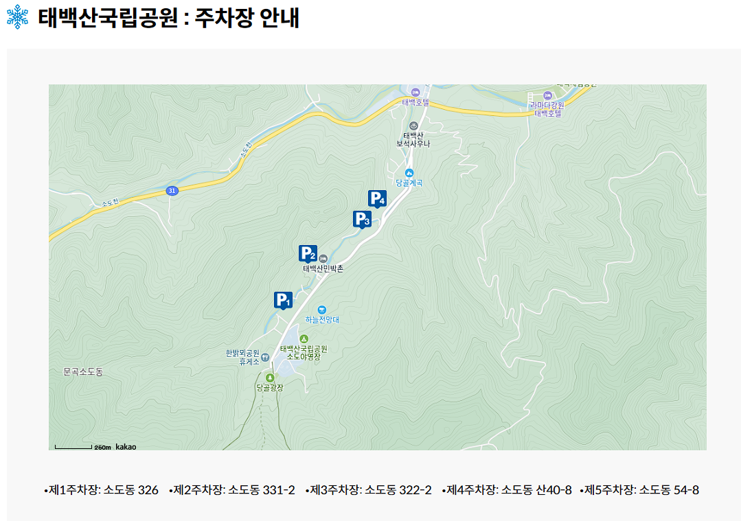 태백 겨울 축제 입장료 주차 정보
