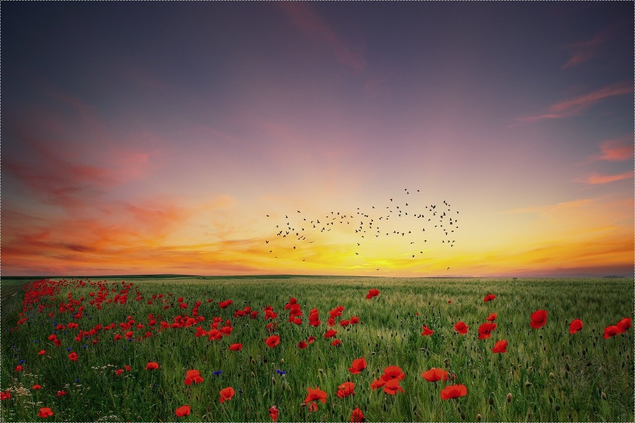 이삭토스트 창업비용