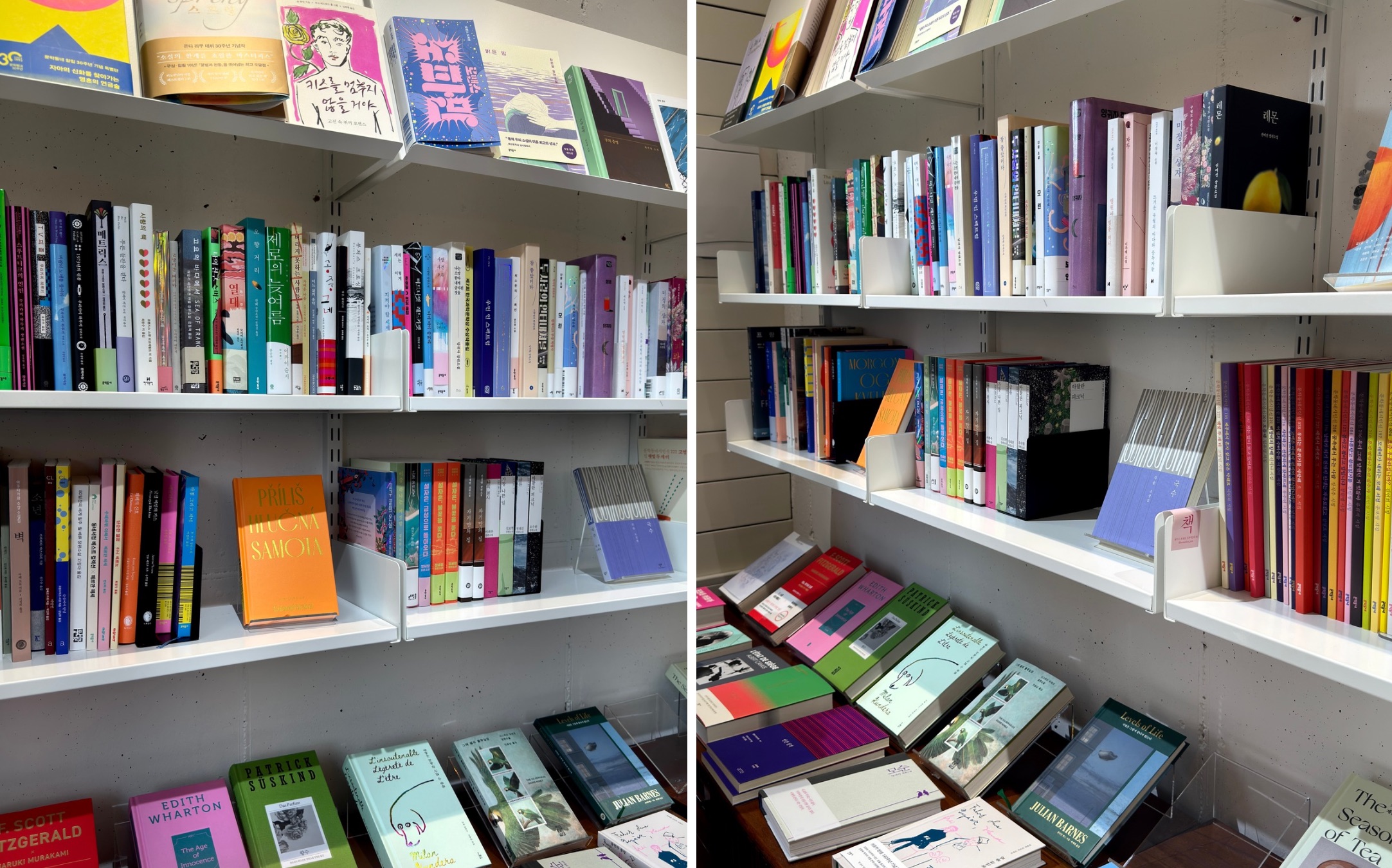 제주에서 만난 작은 책방, 북케이션 – 책과 쉼이 있는 공간
