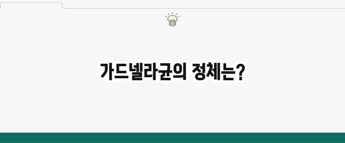 가드넬라균 증상 및 치료법: 여성 질염 원인과 예방