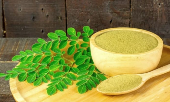 모링가 효능과 먹는법