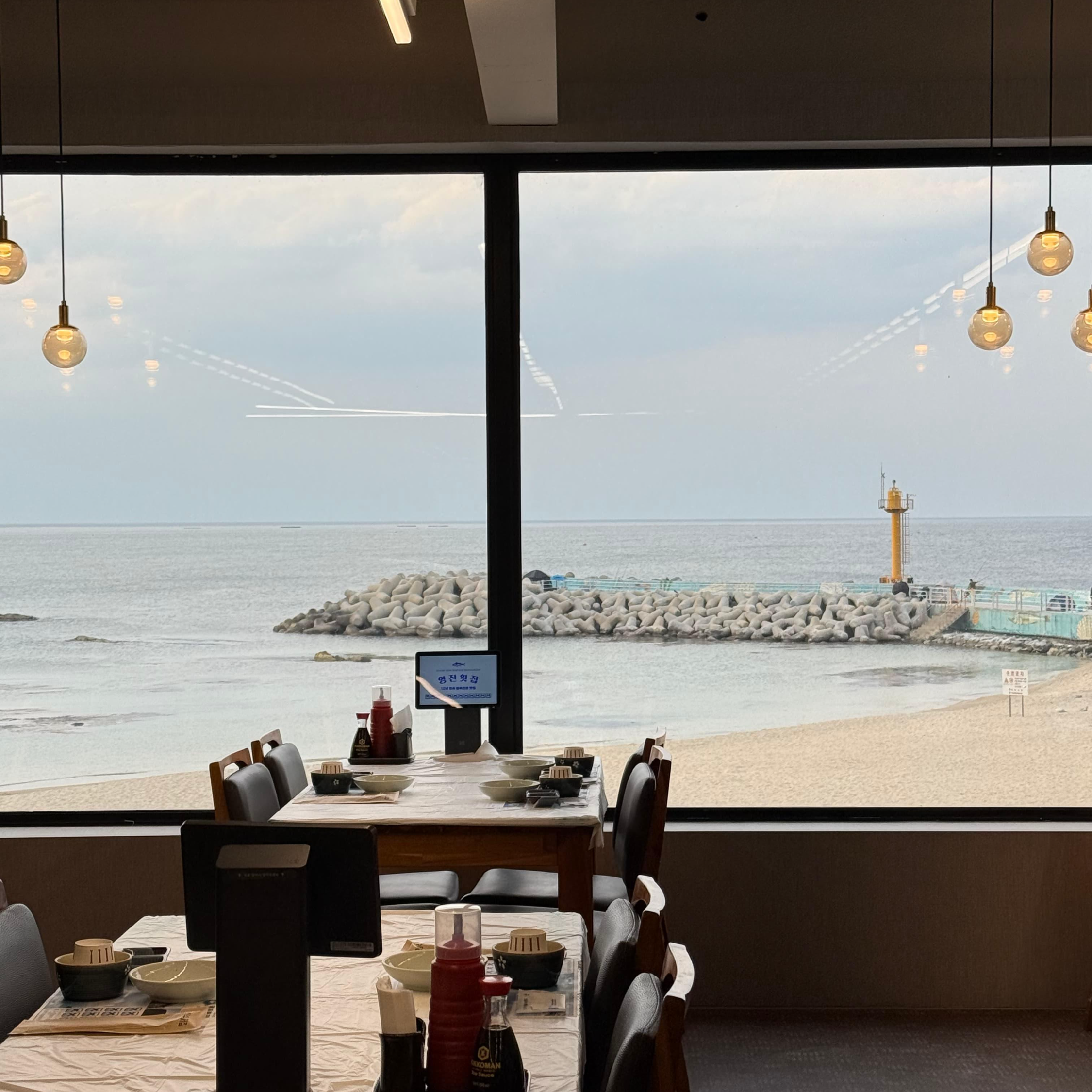 강릉 물회 맛집 영진물회