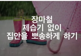 제습기 없이 습기 제거 끝 숯 염화칼슘 등 천연 제습제 활용법 완벽 가이드_21