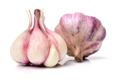 면역력 높이는 음식 Best 12