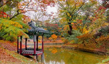 창덕궁 후원