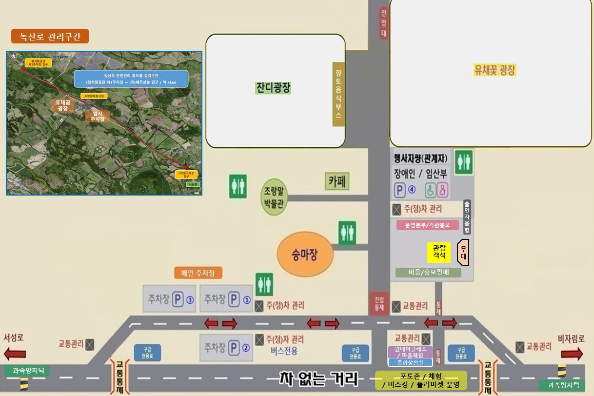 전국 벚꽃 봄축제 추천 Best 5- 서귀포 유채꽃축제