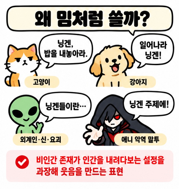 고양이 외계인 애니메이션 캐릭터가 인간을 장난스럽게 부르는 닝겐 인터넷 밈 사용 상황 카드