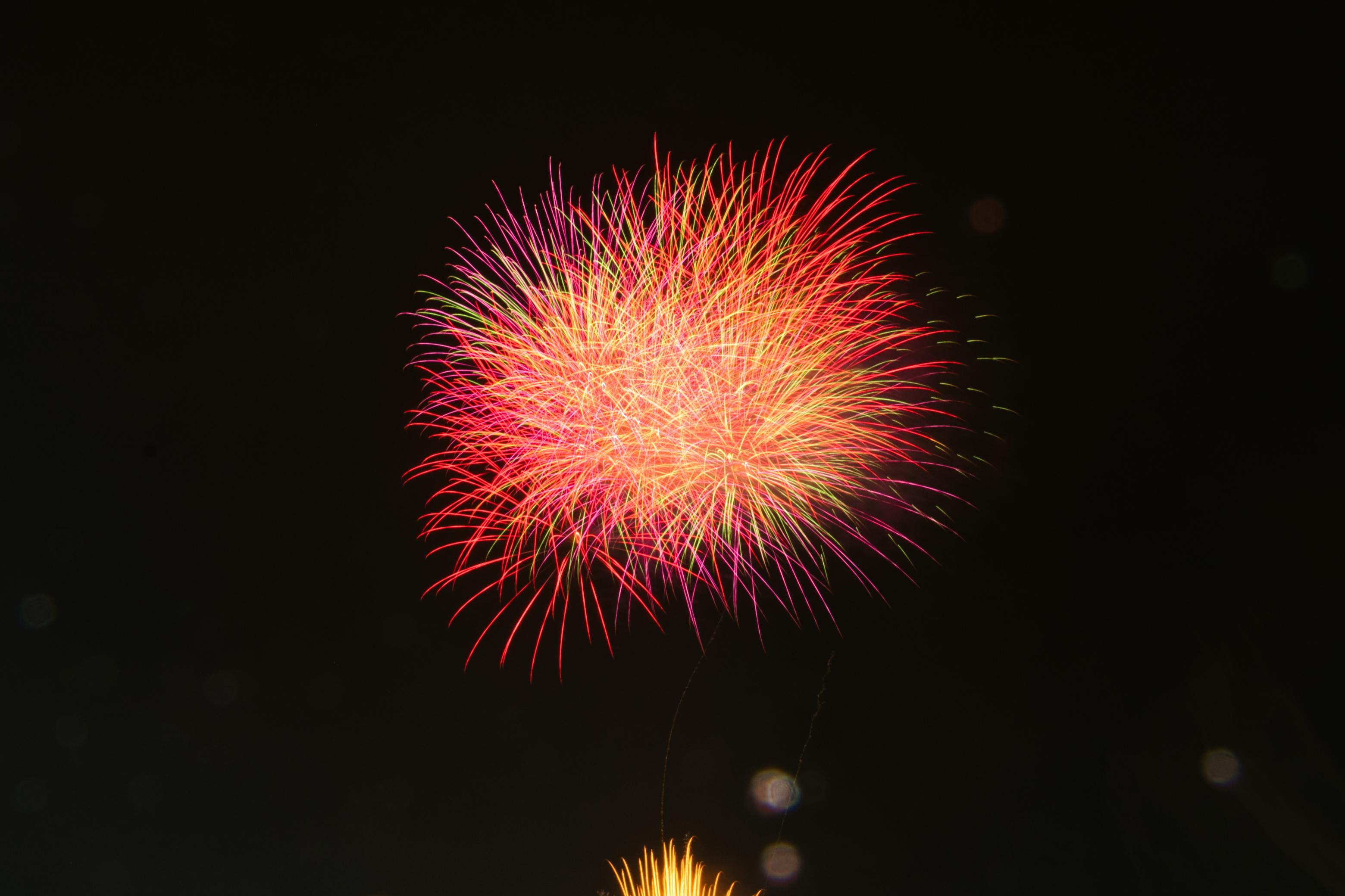부산 불꽃축제 날짜 사전예매하기
