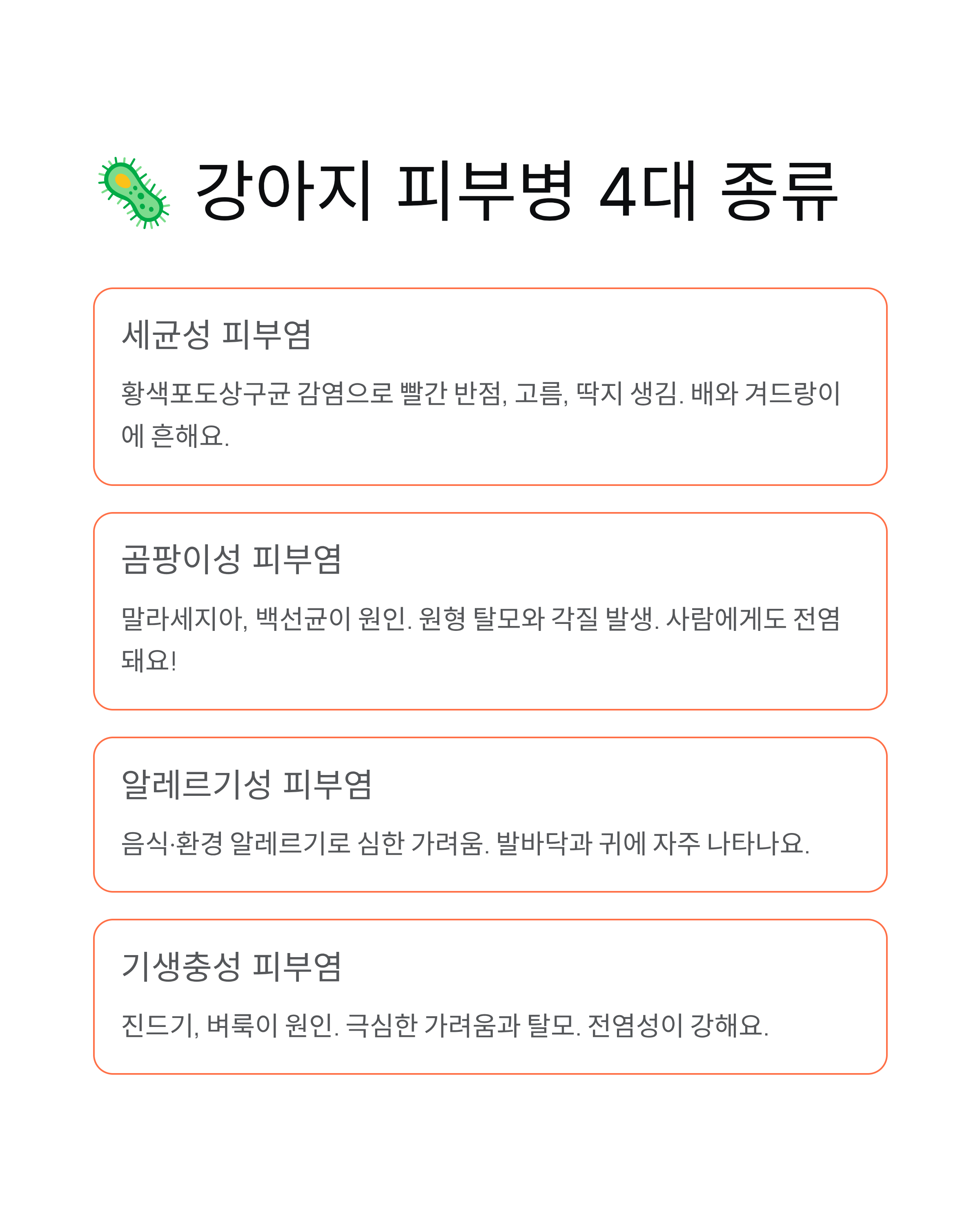 강아지 피부병 🐕 종류·증상·치료법·샴푸까지 완벽 정리!