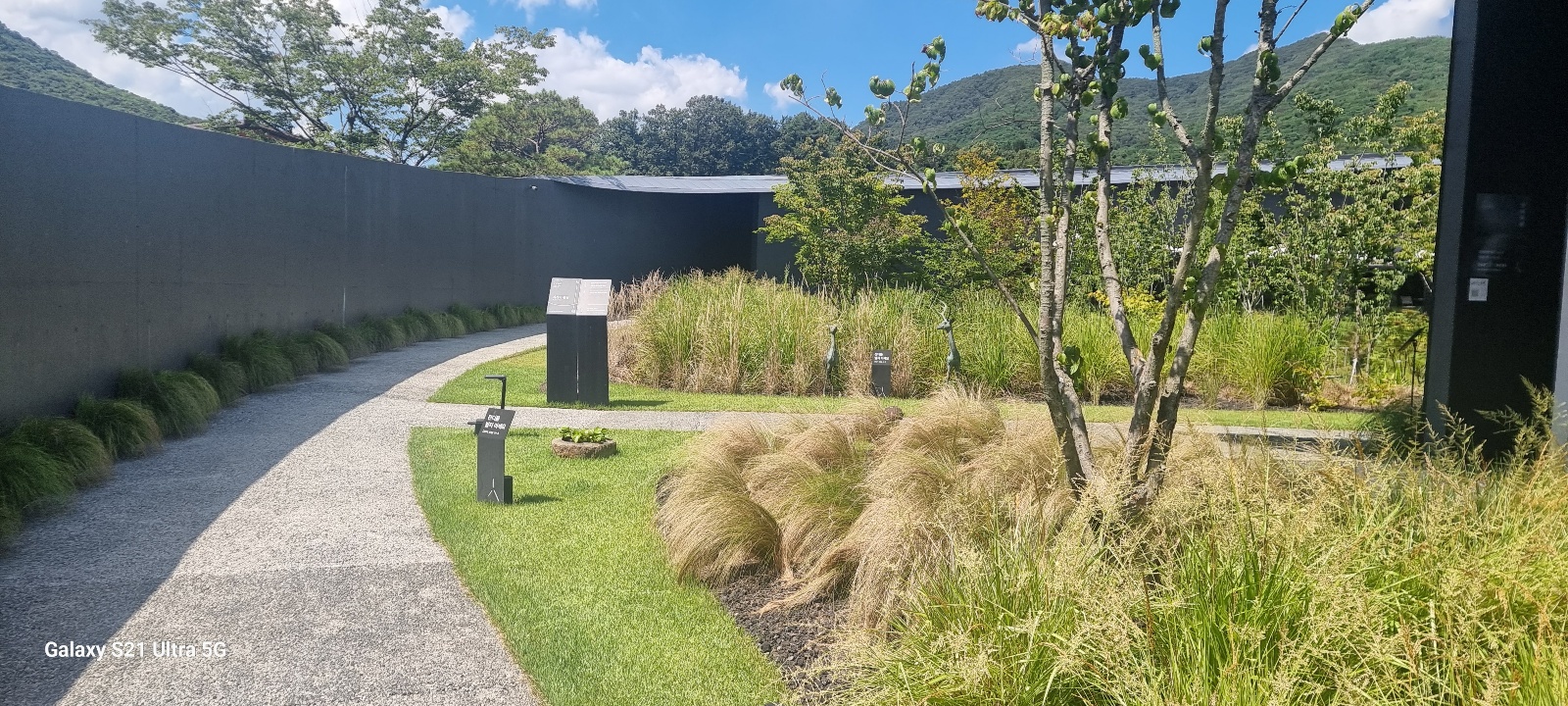 입구에서 정원으로 이어지는 길