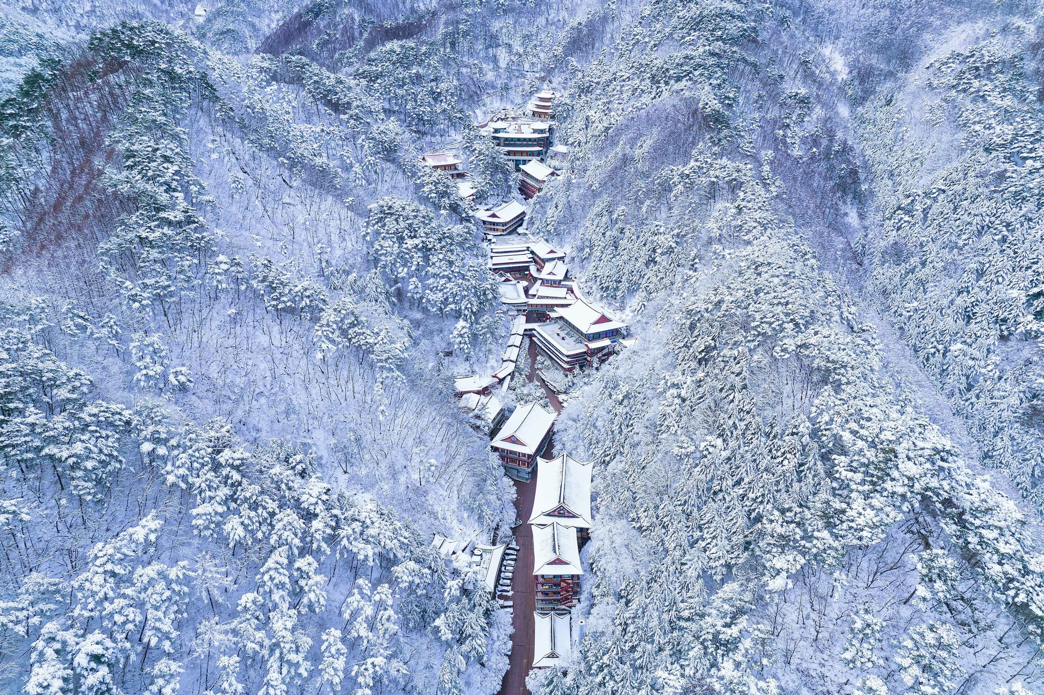 신비로운-겨울의-단양-구인사-전경