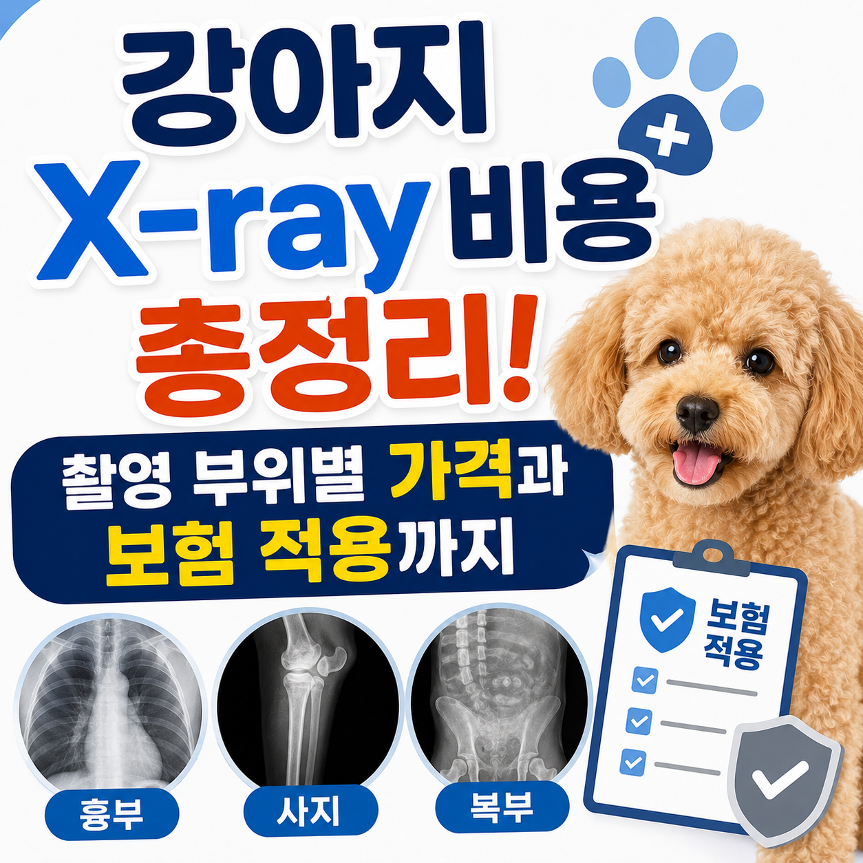 강아지 X-ray 비용