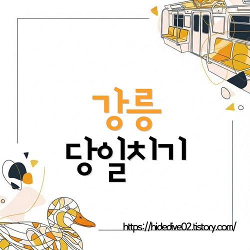 강릉 당일치기를 고민하는 황금오리