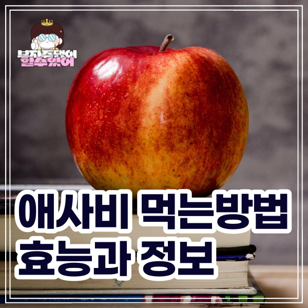 애사비 먹는법 애플 사이다 비니거 효능, 복용법, 제품 정보