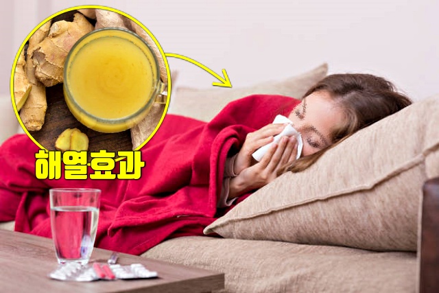 생강차 효능 감기독감 열내리는 음식 생강 효능,건강 팁줌 매일꿀정보