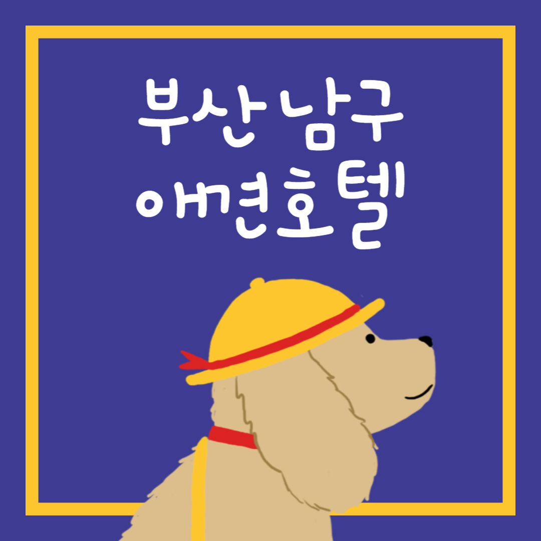 부산 남구 애견호텔