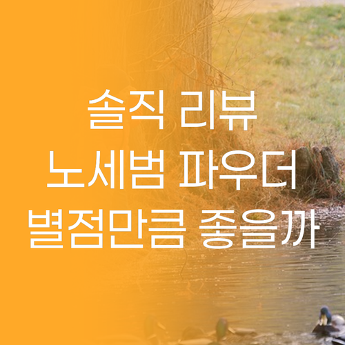 지성 피부 필수템 이니스프리 노세범 