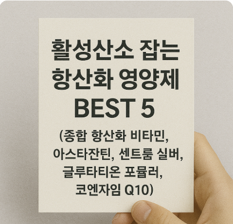 활성산소 잡는 항산화 영양제 BEST 5 (노화 방지, 면역력 향상) 관련 사진