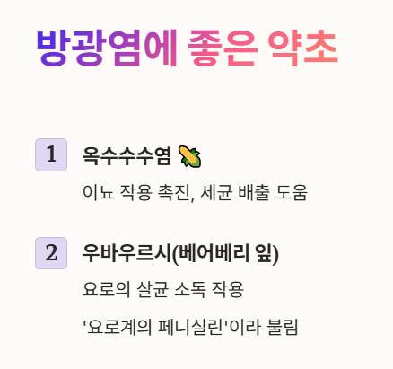 방광염에 좋은 약초 : 옥수수수염, 우바우르시