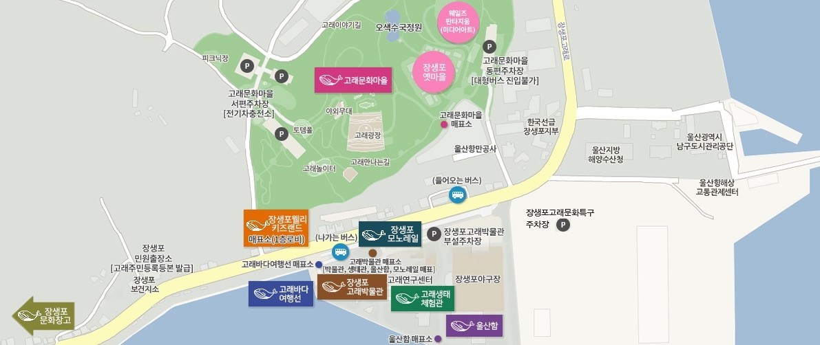 울산 장생포 고래문화마을 라벤더
