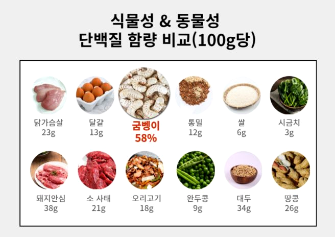 여자 남자 다이어트 하루 단백질 몇g? 몸무게 계산법