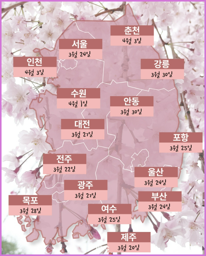 2024 벚꽃 예상 개화시기(산림청, 기상청 자료)