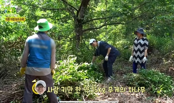 한국기행-혀끝바캉스-하동-야생-녹차밭
