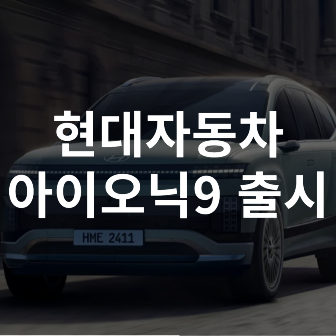 아이오닉9 전기차 보조금