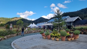 영월 연당원 카페 안내