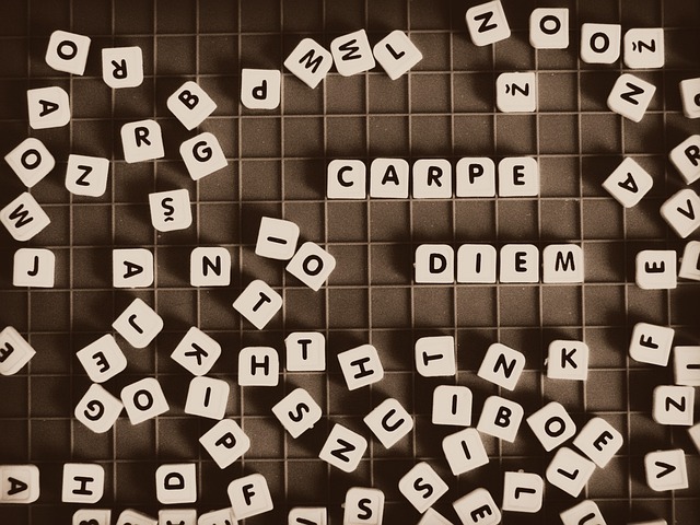 아포리즘의-예-carpe-diem