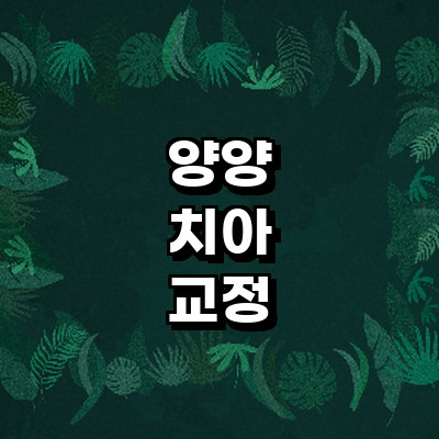 양양군 교정 치과