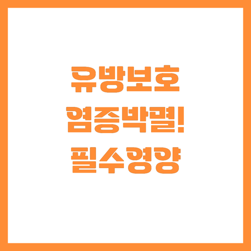 유방 세포를 보호하는 강력한 항염증 ..