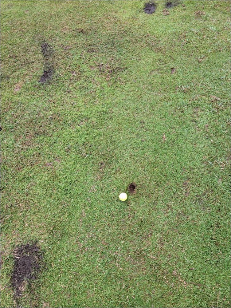 해비치CC-라운딩-공박힘