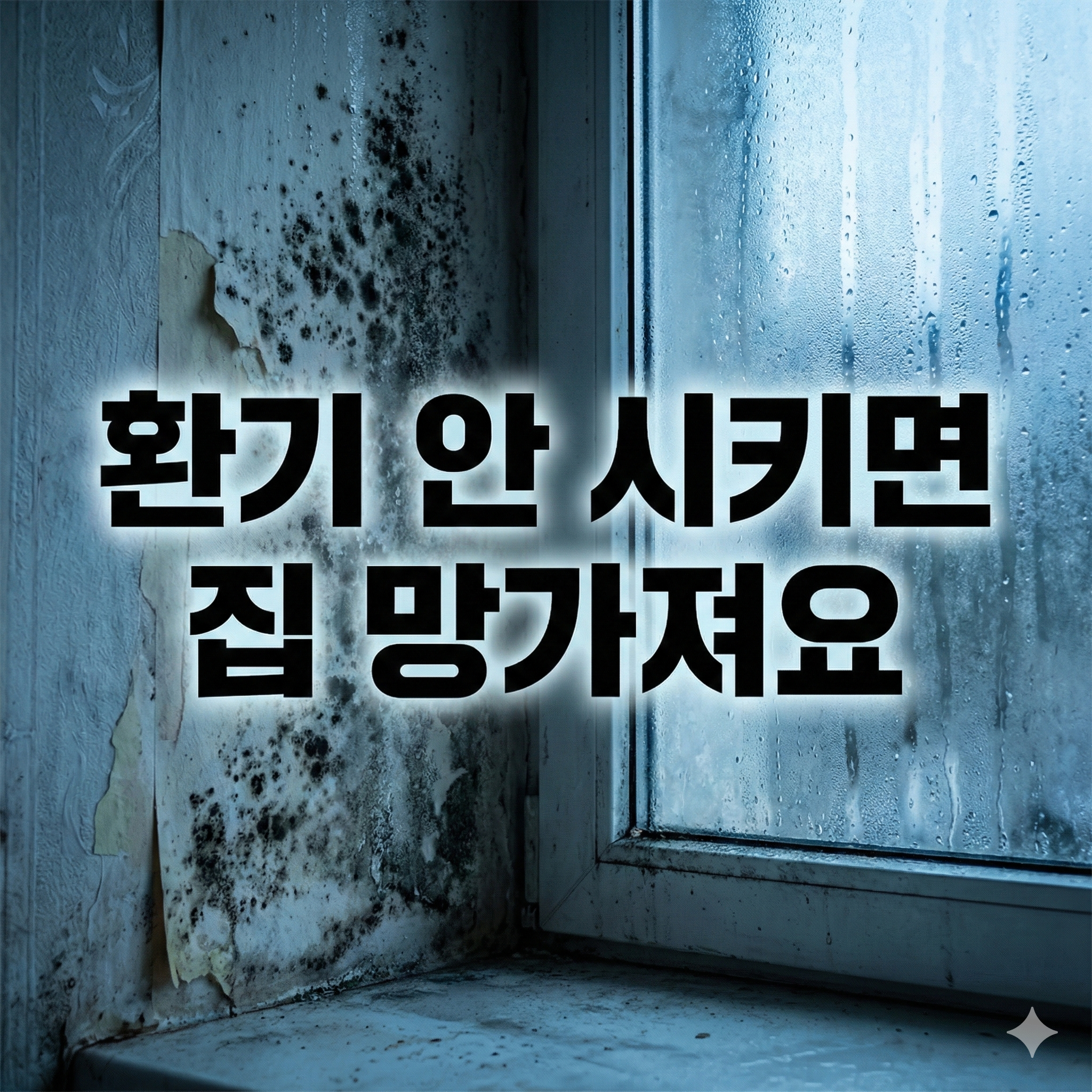 난방비 아끼려다/집 망가져요: 겨울철 곰팡이/결로 완벽 차단법